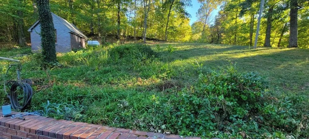 Local yard maintenance experts serving Marshfield, MO - D&N's Cut & Wash