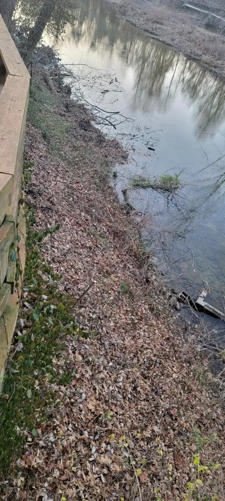 Top-rated residential landscaping experts serving Marshfield, MO - D&N's Cut & Wash