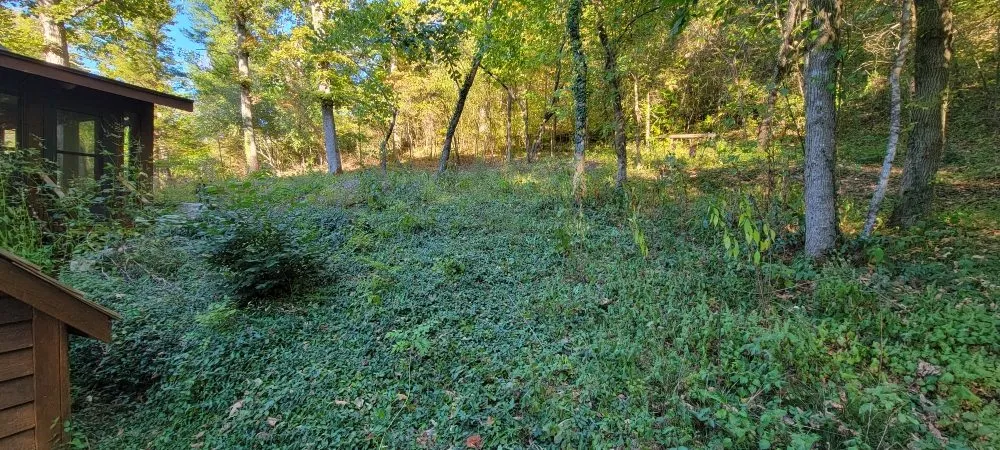 Reliable lawn care service experts serving Marshfield, MO - D&N's Cut & Wash