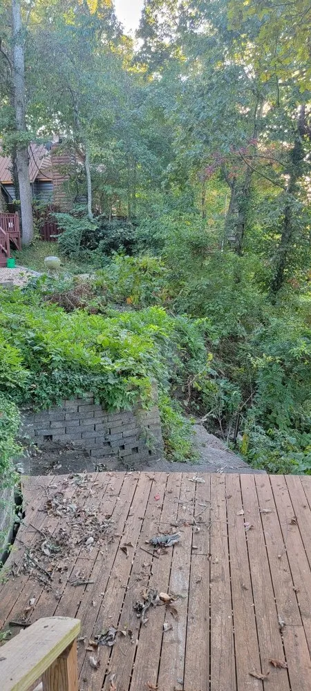 Affordable landscape design with custom design across Marshfield, MO - D&N's Cut & Wash