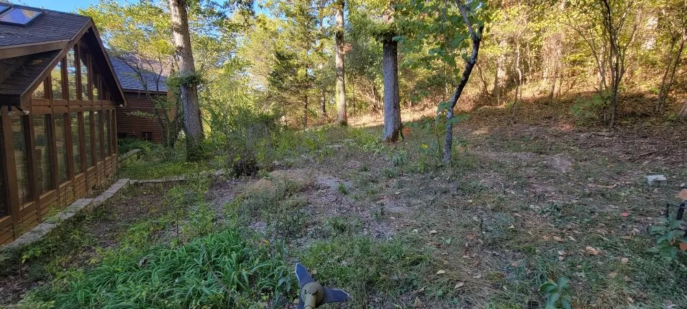 Local yard maintenance in Marshfield, MO by D&N's Cut & Wash