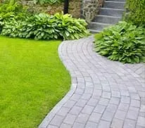Expert yard cleanup service near you in San Antonio, TX by DNS Landscaping