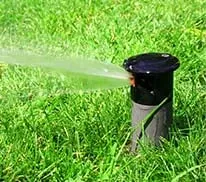 Top-rated outdoor landscaping for year-round maintenance across San Antonio, TX - DNS Landscaping