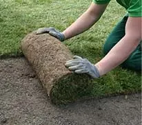 Trusted residential landscaping in San Antonio, TX - DNS Landscaping