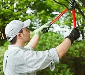 Professional landscape design experts serving San Antonio, TX - DNS Landscaping