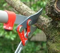 Affordable outdoor landscaping experts serving San Antonio, TX - DNS Landscaping