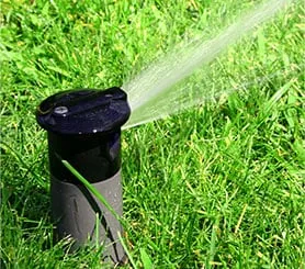 Professional residential landscaping for outdoor upgrades in San Antonio, TX by DNS Landscaping