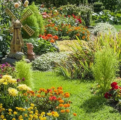 Top-rated yard cleanup service experts serving San Antonio, TX - DNS Landscaping