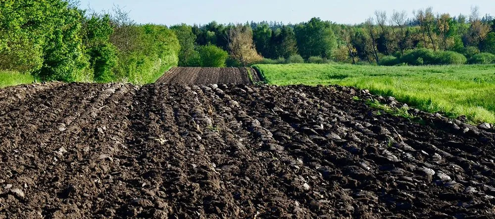 Trusted garden landscaping in Rochester, IN - DNS Lawn Care and Repair