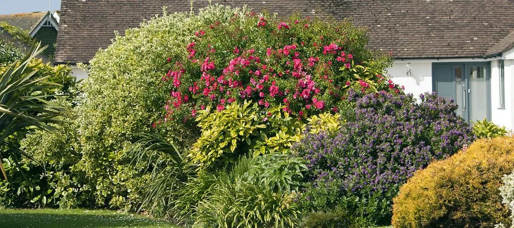 Custom outdoor landscaping in Rochester, IN by DNS Lawn Care and Repair