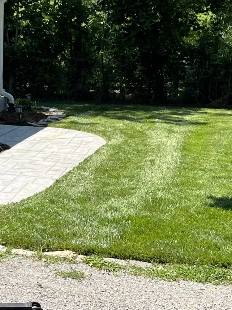 Affordable landscaping services in La Vergne, TN by DNT Landscaping & Services