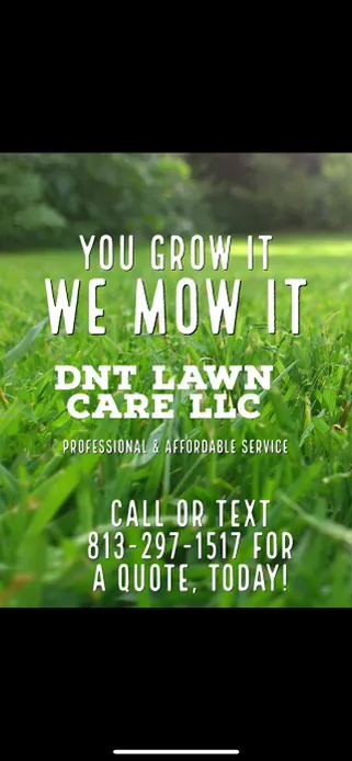 Expert lawn mowing service for beautiful yards in Temple Terr, FL by DNT Lawn Care