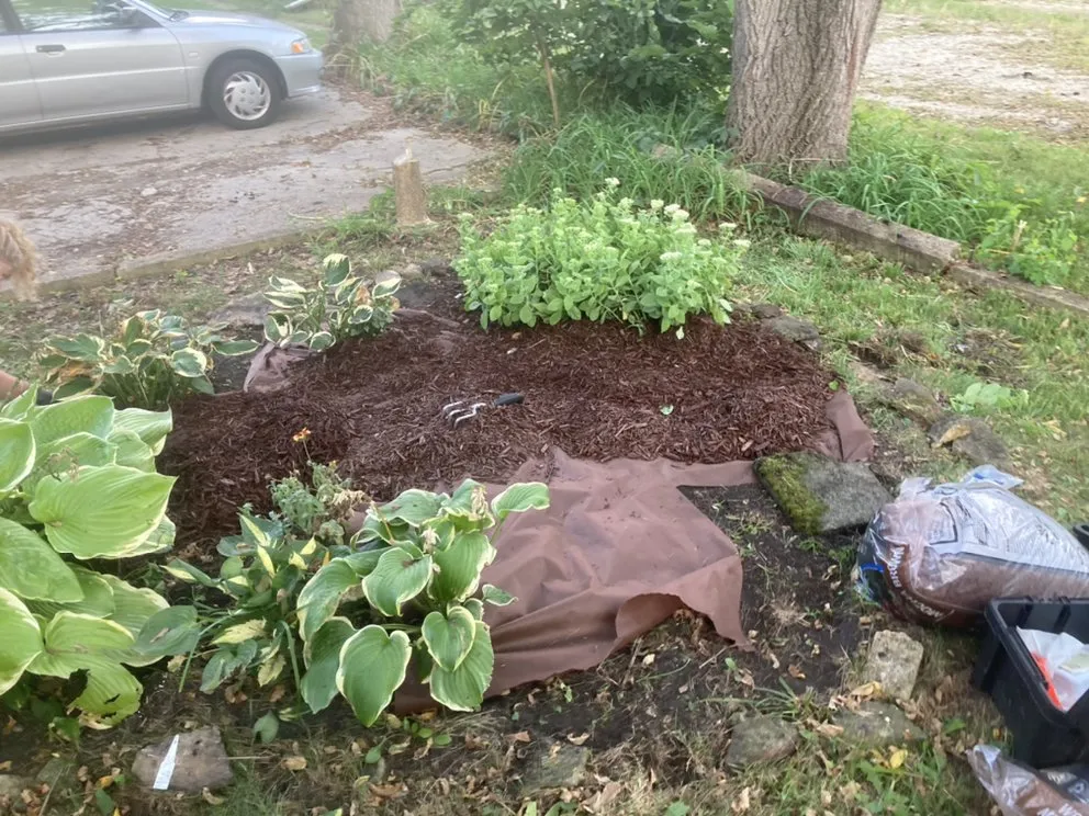 Custom yard cleanup service in Arena, WI by Do All