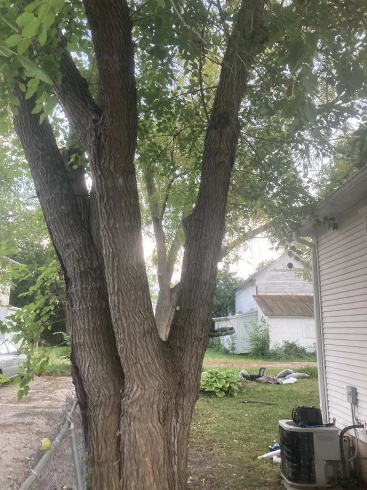 Local outdoor landscaping for outdoor upgrades across Arena, WI - Do All
