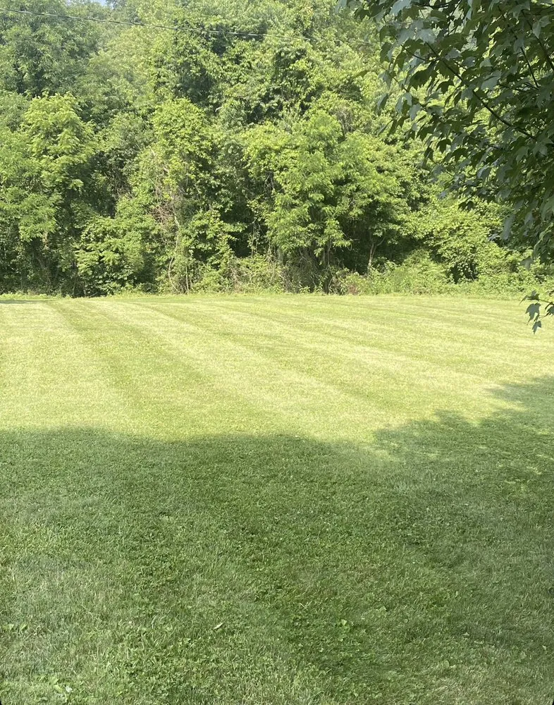 Affordable lawn care service in Dublin, VA - Do All Nau Landscaping And Lawn Care