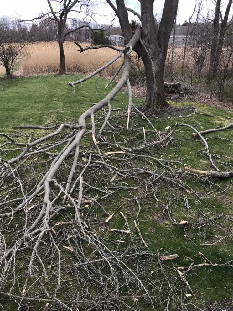 Custom landscape design in Scituate, MA - Do It All Dave