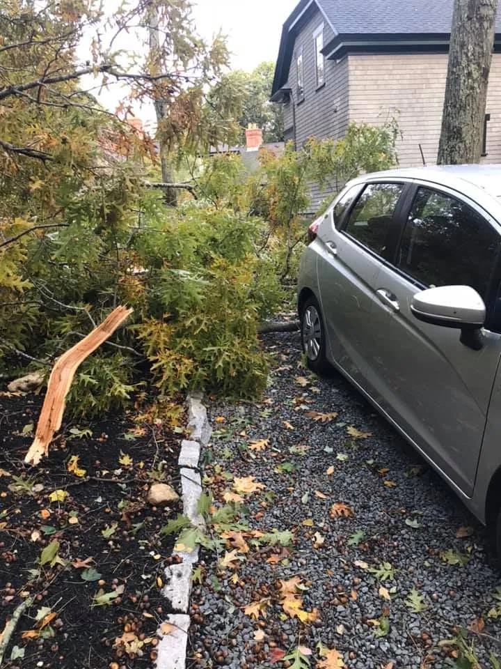 Expert landscaping services in Scituate, MA - Do It All Dave