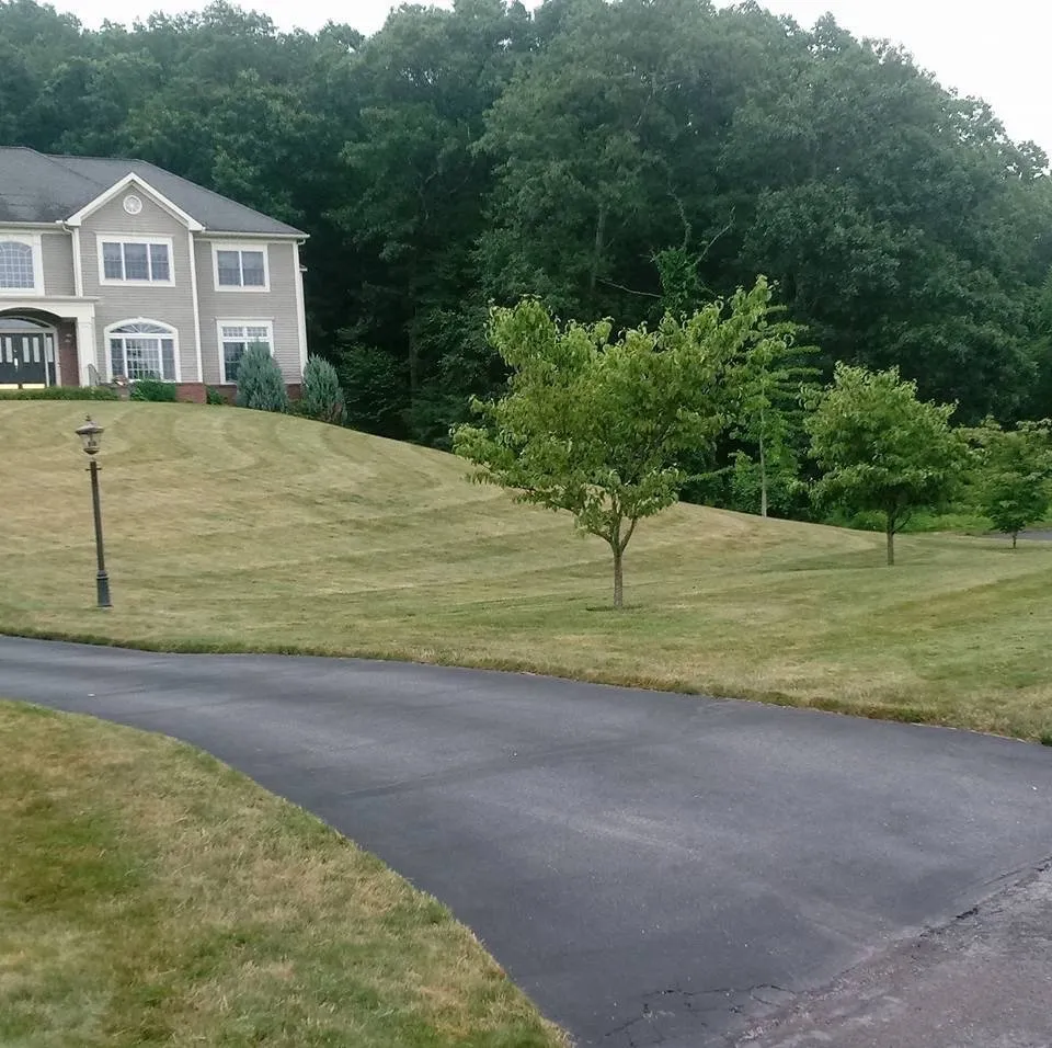 Local landscape design experts serving Glastonbury, CT - Do It All Dennis
