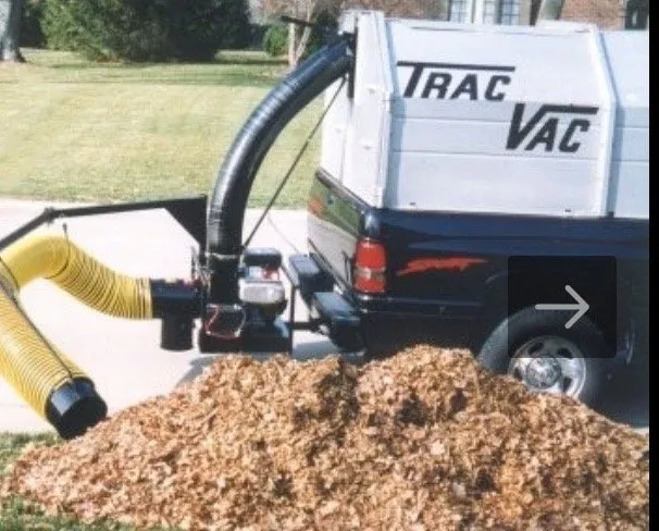 Custom yard cleanup service in Glastonbury, CT - Do It All Dennis