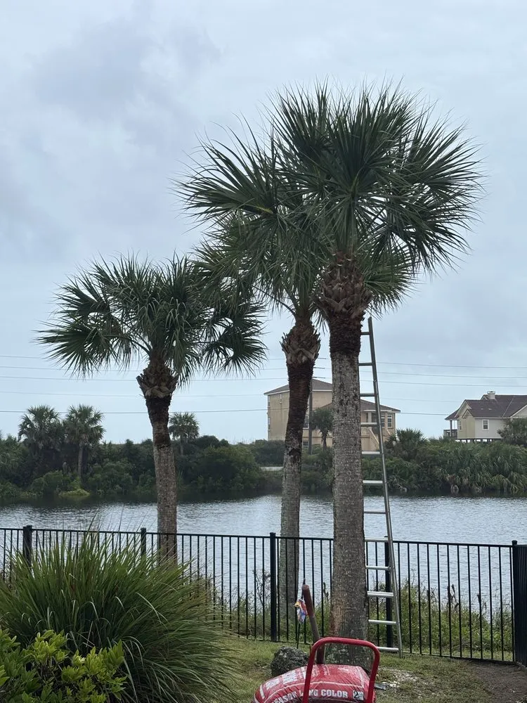 Local yard maintenance for beautiful yards in Palm Coast, FL by Do It All Dudes Home Repair & Landscaping