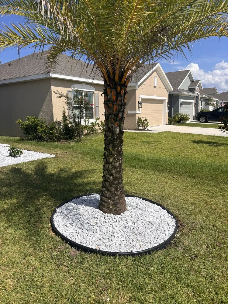 Top-rated landscaping services experts serving Palm Coast, FL - Do It All Dudes Home Repair & Landscaping