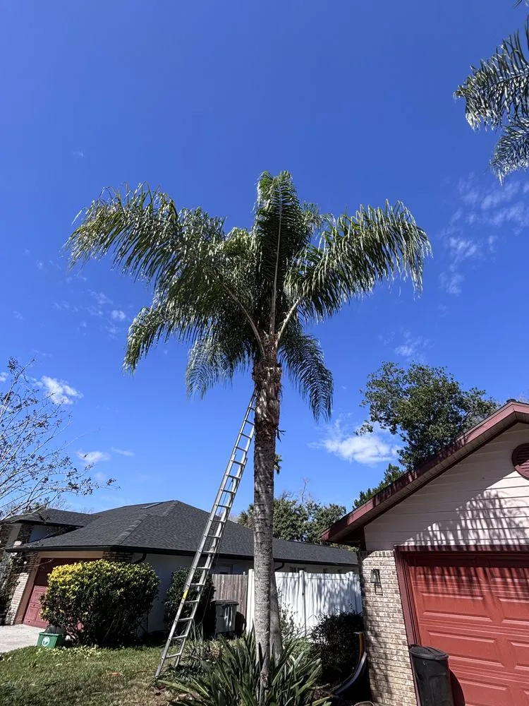 Reliable landscape design for outdoor upgrades in Palm Coast, FL by Do It All Dudes Home Repair & Landscaping