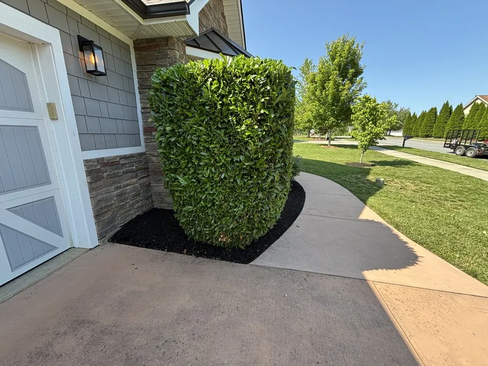 Reliable landscape design in Bristol, VA - Do It All Exterior Maintenance