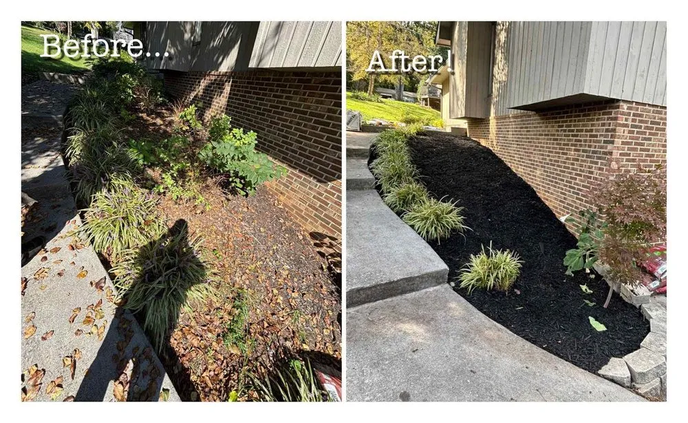 Professional yard maintenance in Bristol, VA by Do It All Exterior Maintenance