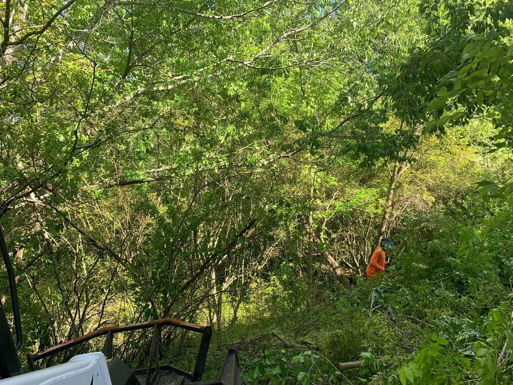 Professional outdoor landscaping in Chattanooga, TN by Do It All Landscaping