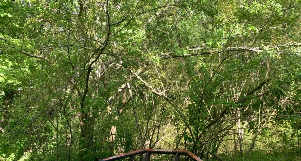 Local yard maintenance experts serving Chattanooga, TN - Do It All Landscaping