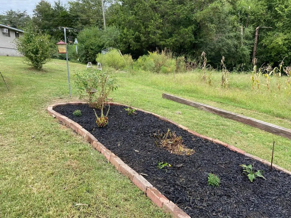 Top-rated lawn care service with custom design across Chattanooga, TN - Do It All Landscaping