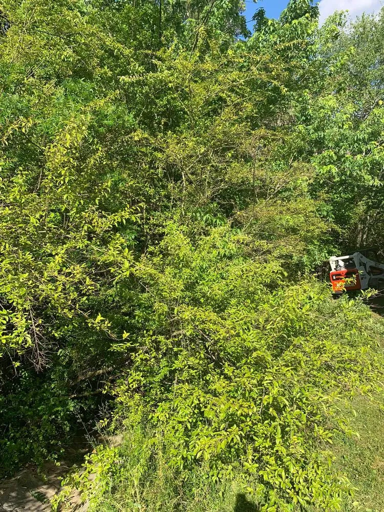 Affordable residential landscaping for beautiful yards across Chattanooga, TN - Do It All Landscaping