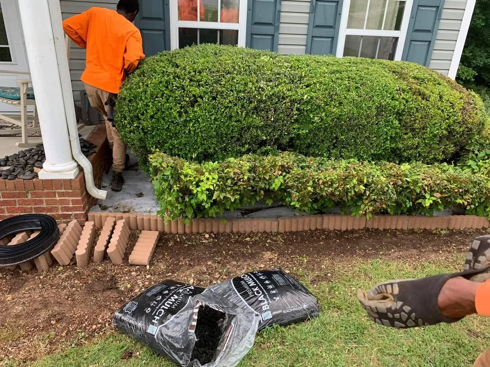 Trusted lawn care service in Chattanooga, TN - Do It All Landscaping