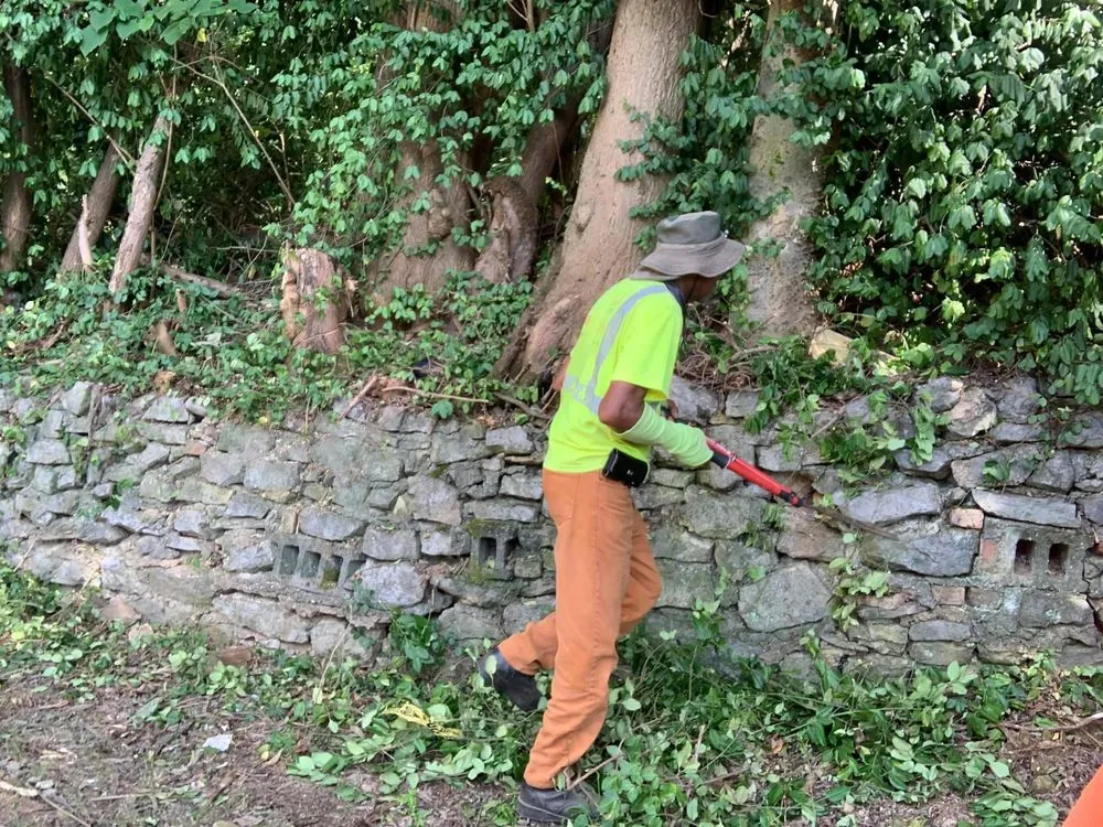 Trusted yard cleanup service in Chattanooga, TN by Do It All Landscaping