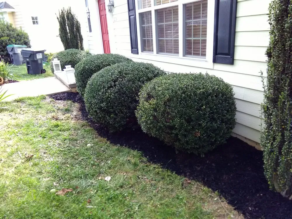 Expert residential landscaping in Waynesboro, VA - Do It All Landscaping
