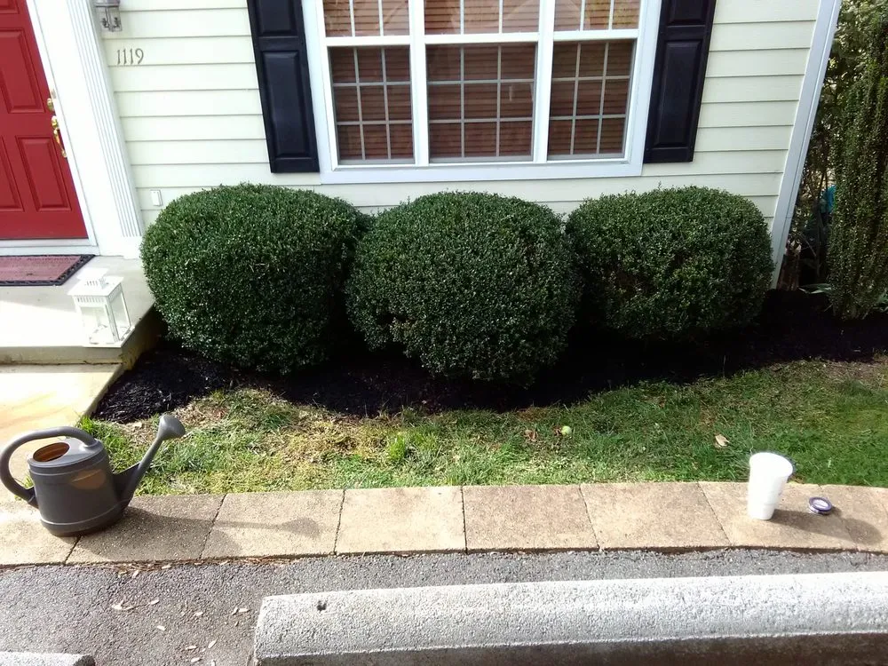 Local yard maintenance in Waynesboro, VA - Do It All Landscaping