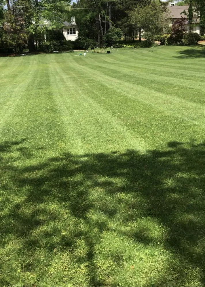 Custom garden landscaping near you across Canton, MS - Do It All Lawn Care