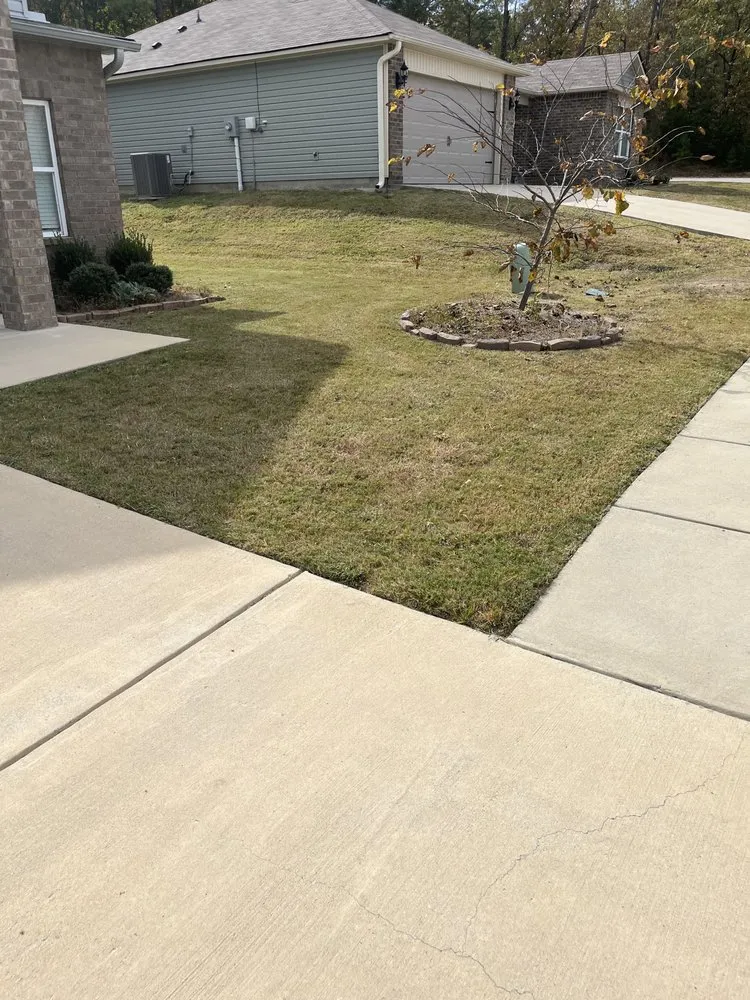 Reliable yard cleanup service in Montevallo, AL by Do It All Lawn Care