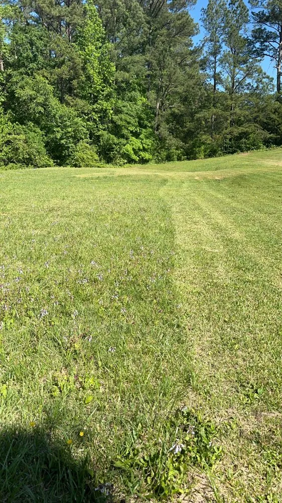 Expert landscaping services for outdoor upgrades across Montevallo, AL - Do It All Lawn Care