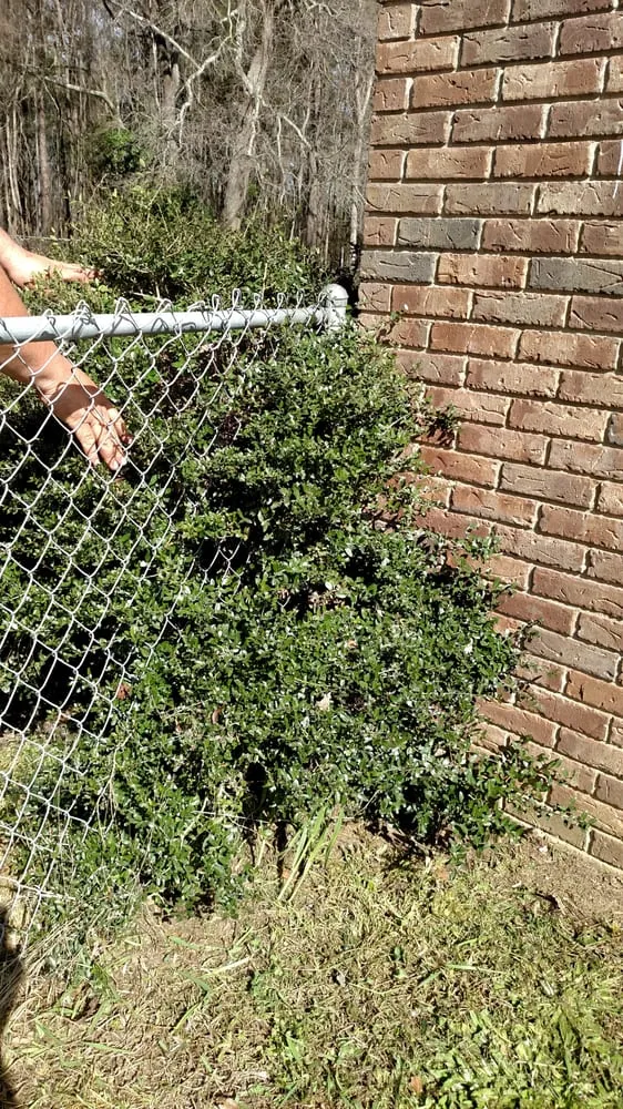 Top-rated lawn care service experts serving Sumter, SC - Do It All Lawn Care