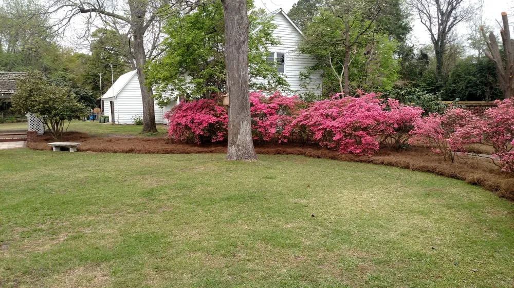 Reliable residential landscaping in Sumter, SC - Do It All Lawn Care