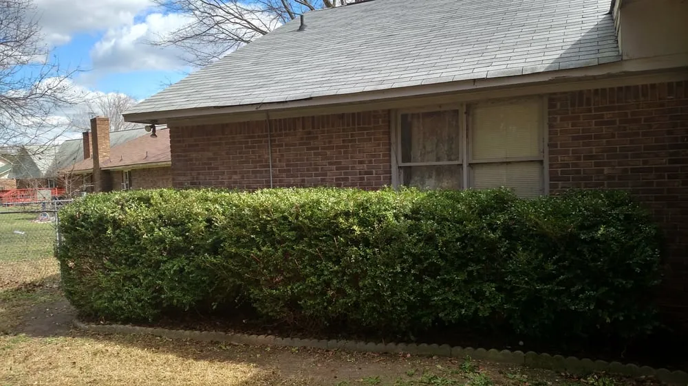 Local lawn mowing service in Sumter, SC - Do It All Lawn Care