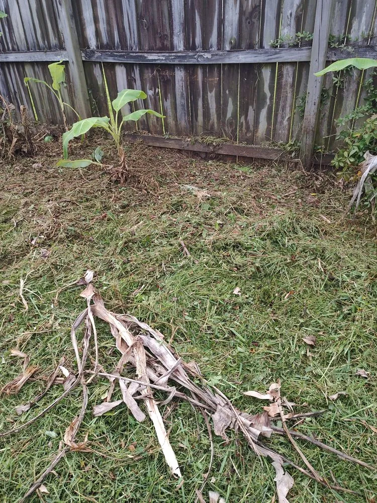 Affordable landscape design for homes across Gautier, MS - Do It All Lawn Service