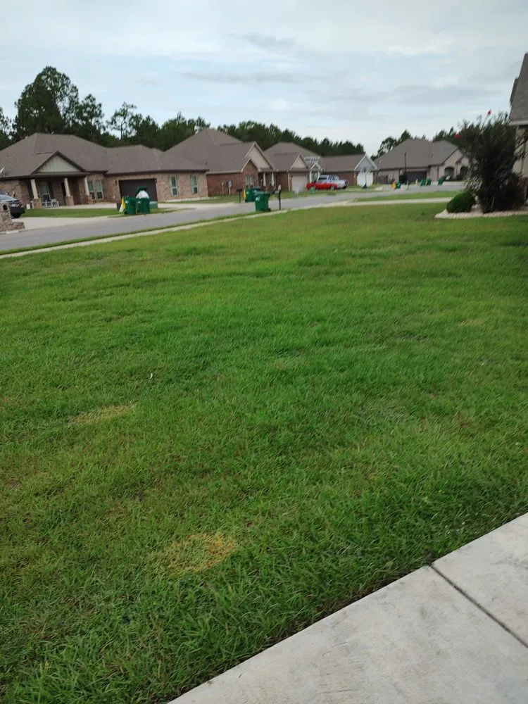 Professional yard maintenance for homes across Gautier, MS - Do It All Lawn Service