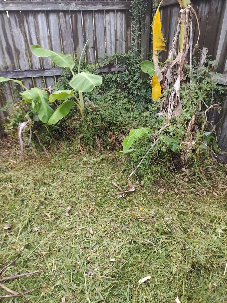 Top-rated outdoor landscaping experts serving Gautier, MS - Do It All Lawn Service