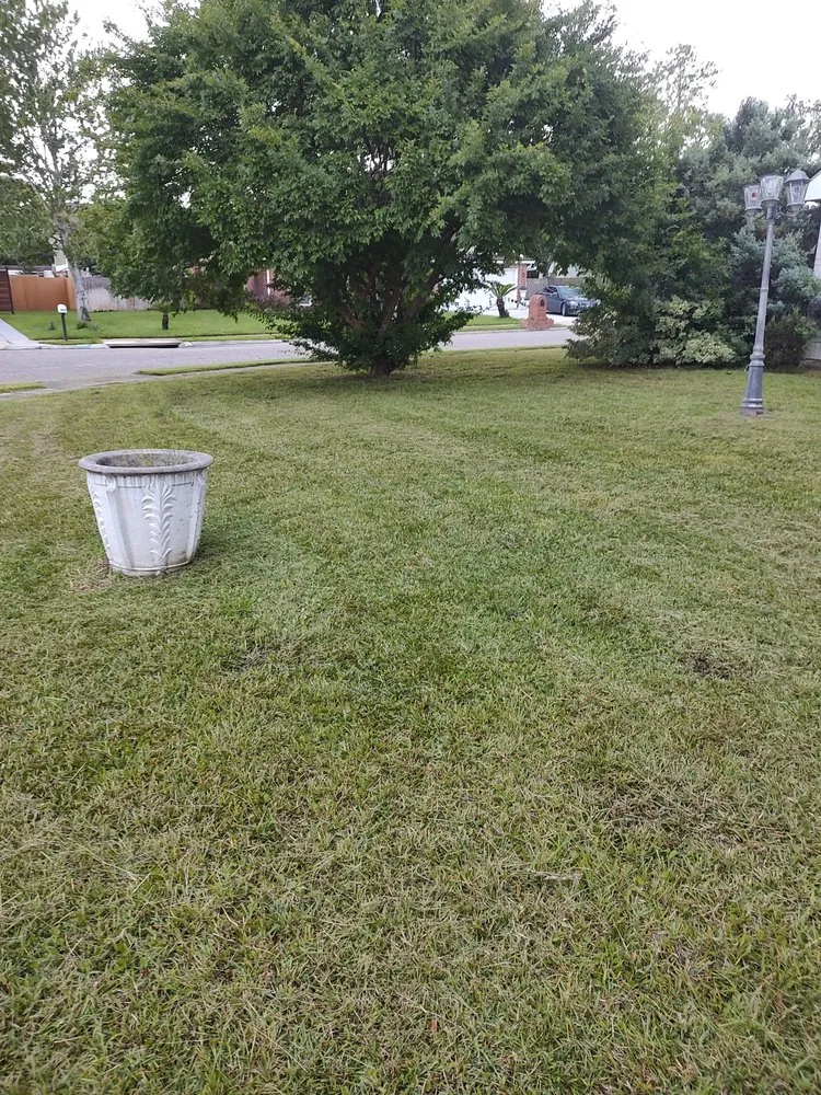 Affordable outdoor landscaping experts serving Gautier, MS - Do It All Lawn Service