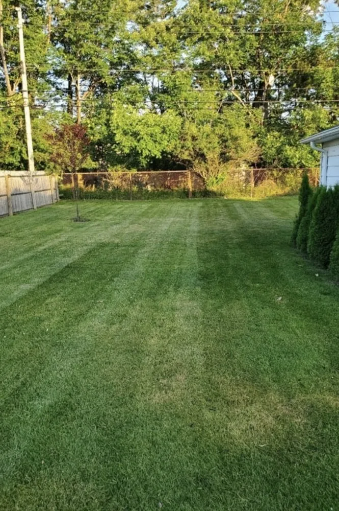 Professional yard maintenance with custom design in Lexington, SC by Do It All N Repair