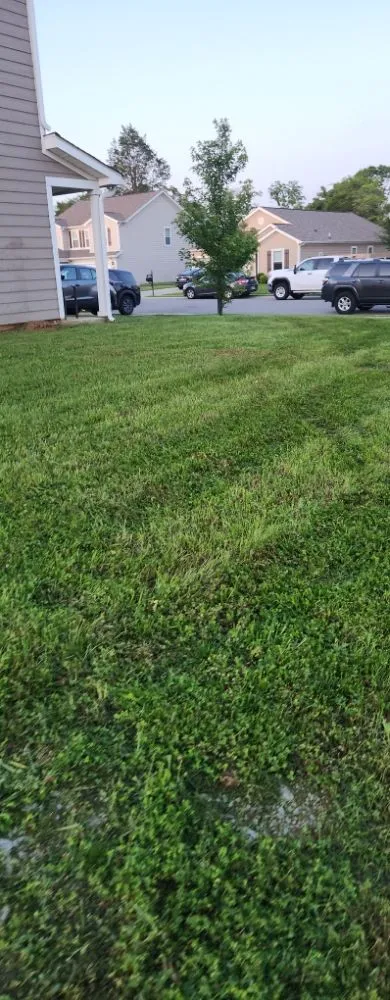 Affordable landscape design experts serving Murfreesboro, TN - Do It All Seasons Landscaping & Handyman Services