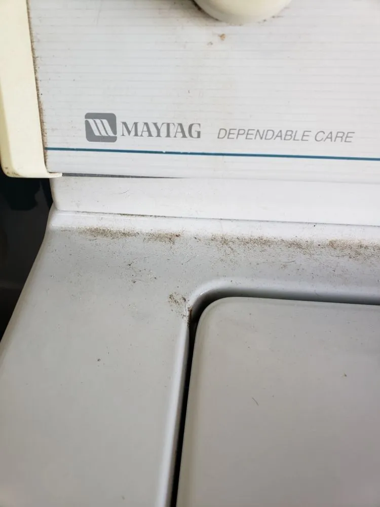 Trusted yard maintenance for outdoor upgrades in Yucca Valley, CA by Do it all