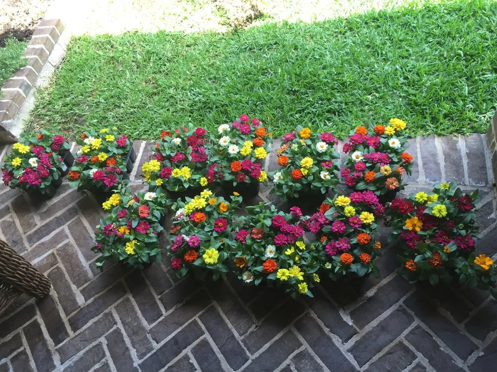 Trusted lawn care service with custom design in Dallas, TX by Do It Landscapes